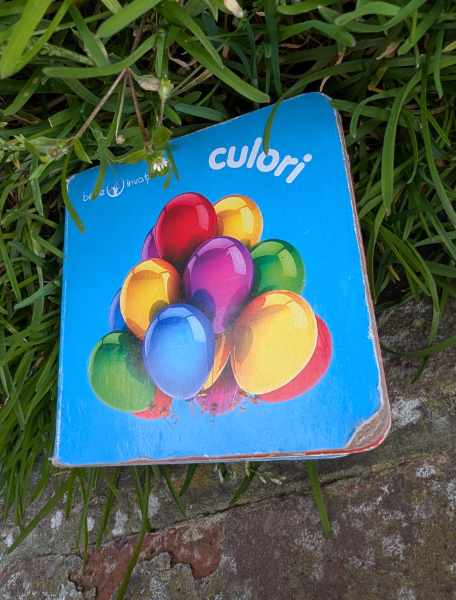 a children's book with multicoloured balloons lying on some grass.